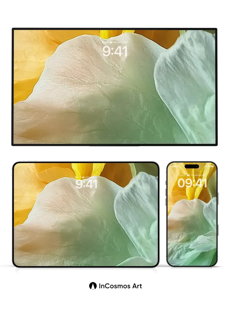 Luminous Petal Wallpaper with Ethereal Glow