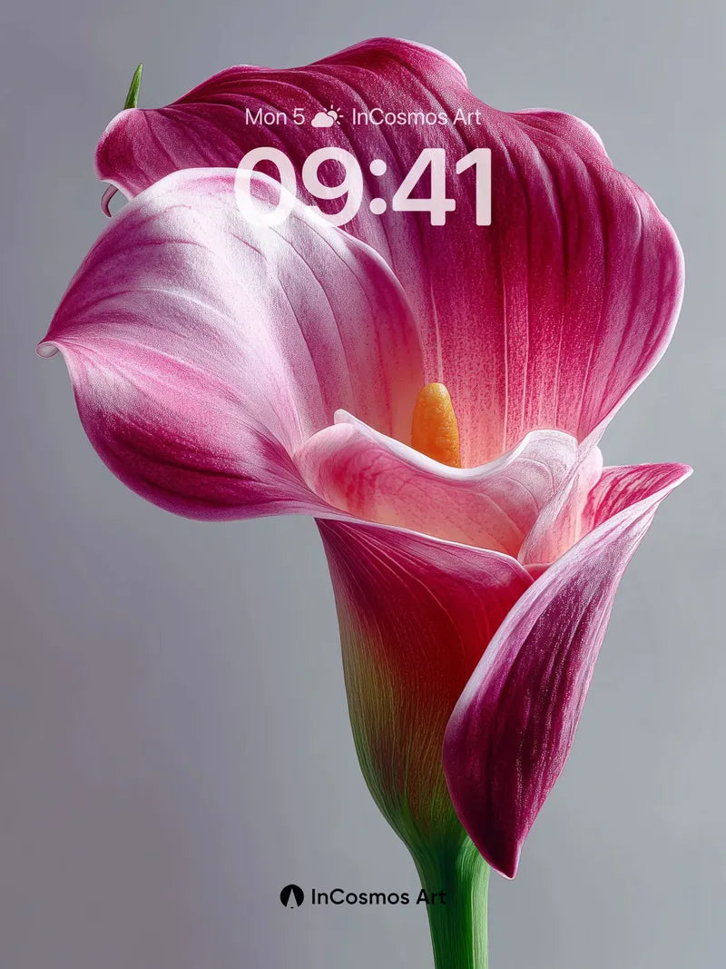 Velvet Petal Wallpaper with Hidden Light wallpaper for iPhone, iPad & Mac