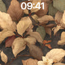 Autumn Hush Wallpaper with Floating Petals wallpaper for iPhone, iPad & Mac