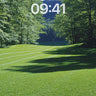 Serenity Meadow Wallpaper with Forest Embrace wallpaper for iPhone, iPad & Mac