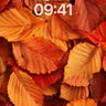 Autumn Hush Wallpaper with Ember Leaves wallpaper for iPhone, iPad & Mac