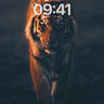 Shadowed Roar Wallpaper with Golden Fur wallpaper for iPhone, iPad & Mac