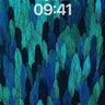 Midnight Peacock Feather Wallpaper in Deep Teal wallpaper for iPhone, iPad & Mac