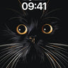 Nocturnal Gaze Wallpaper with Golden Eyes wallpaper for iPhone, iPad & Mac