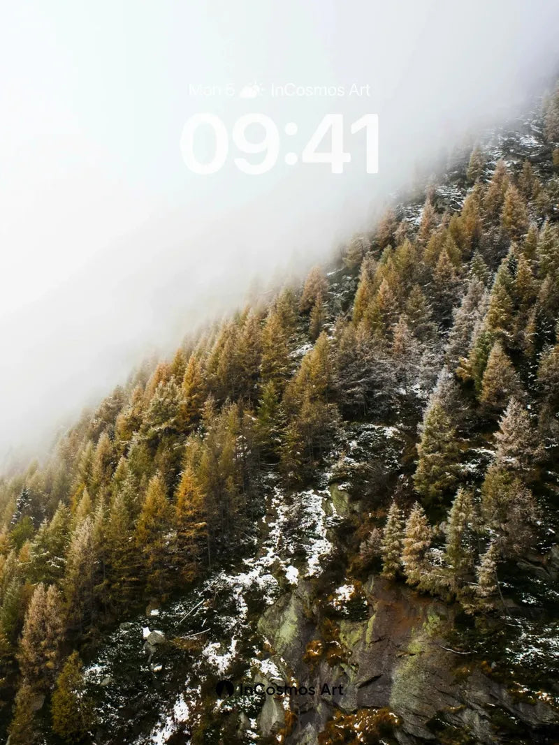 Fog-Cradled Forest Wallpaper with Winter Whispers