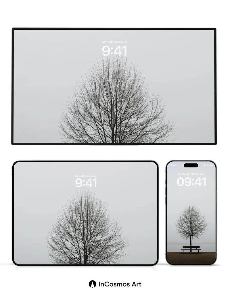 Stillness Tree Wallpaper with Solitary Bench