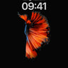 Fiery Feather Wallpaper with Living Light wallpaper for iPhone, iPad & Mac