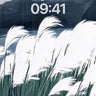 Silent Reeds Wallpaper with Mountain Hush wallpaper for iPhone, iPad & Mac