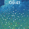 Blue Floral Field Wallpaper 4K for iPhone Lock Screen wallpaper for iPhone, iPad & Mac