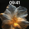 Luminous Petal Wallpaper with Ethereal Glow wallpaper for iPhone, iPad & Mac