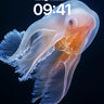 Luminous Drift Wallpaper with Ethereal Fronds wallpaper for iPhone, iPad & Mac