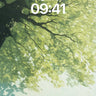 Serene Canopy Wallpaper with Golden Light Veils wallpaper for iPhone, iPad & Mac