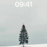 Solitary Pine Wallpaper with Frozen Stillness wallpaper for iPhone, iPad & Mac