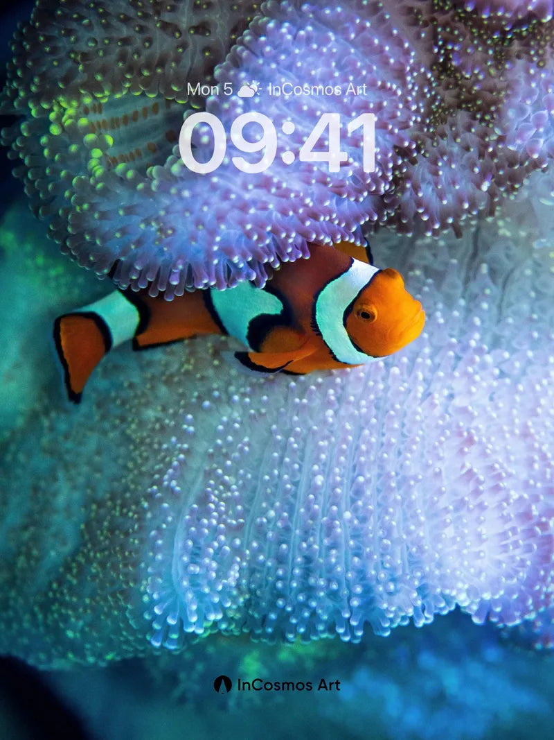Serene Coral Embrace Wallpaper with Clownfish Whispers