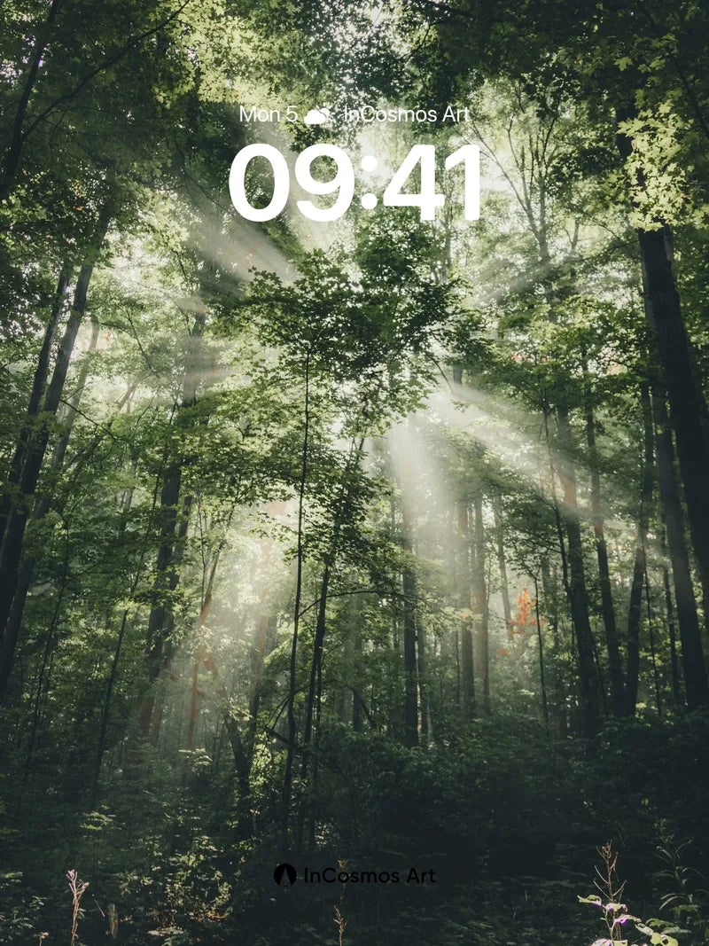 Sunbeam Forest Wallpaper with Misty Canopy wallpaper for iPhone, iPad & Mac