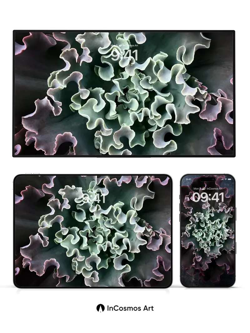 Velvet Fractal Wallpaper with Living Edges