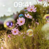 Cosmos Blossom Bubble Fantasy Wallpaper