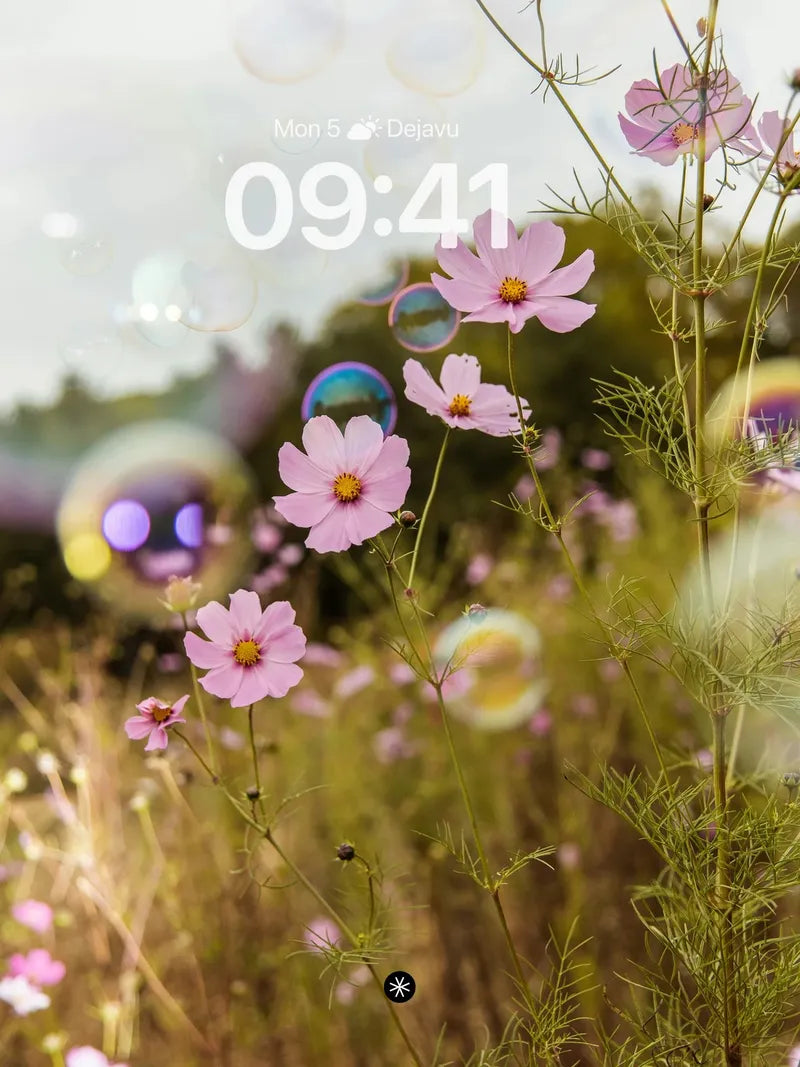 Cosmos Blossom Bubble Fantasy Wallpaper