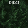 Whispering Fern Wallpaper with Midnight Depth wallpaper for iPhone, iPad & Mac