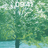 Serenity Under Canopy Wallpaper with Dappled Light wallpaper for iPhone, iPad & Mac