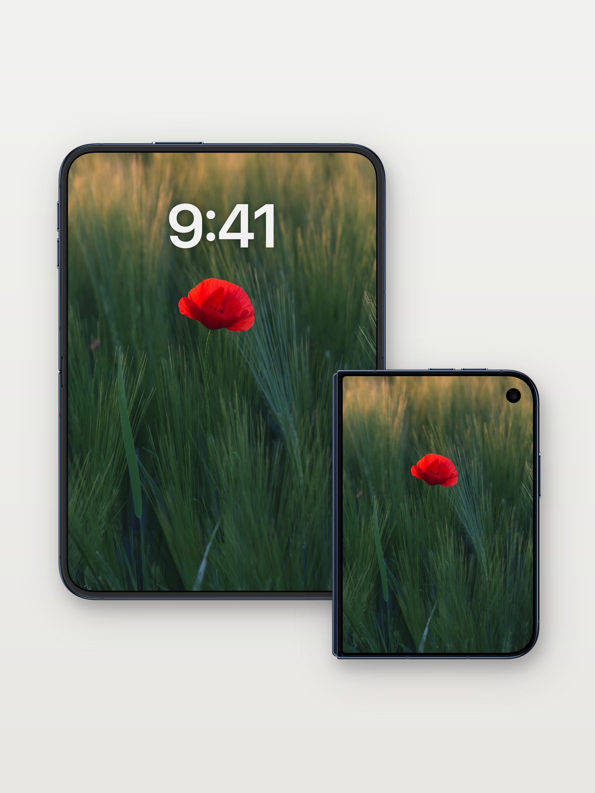 Solitary Bloom Wallpaper with Golden Hush on iPhone Duo, open and closed