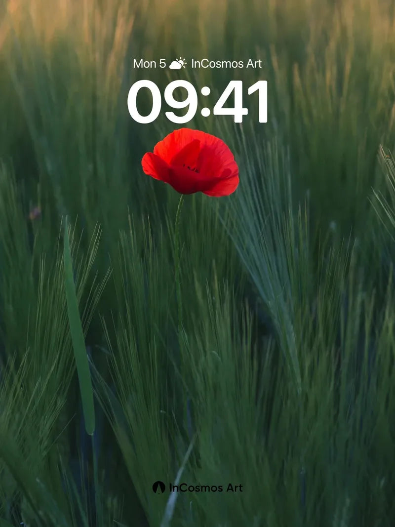 Solitary Bloom Wallpaper with Golden Hush wallpaper for iPhone, iPad & Mac