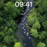 Serenity River Wallpaper with Fluttering Wings wallpaper for iPhone, iPad & Mac