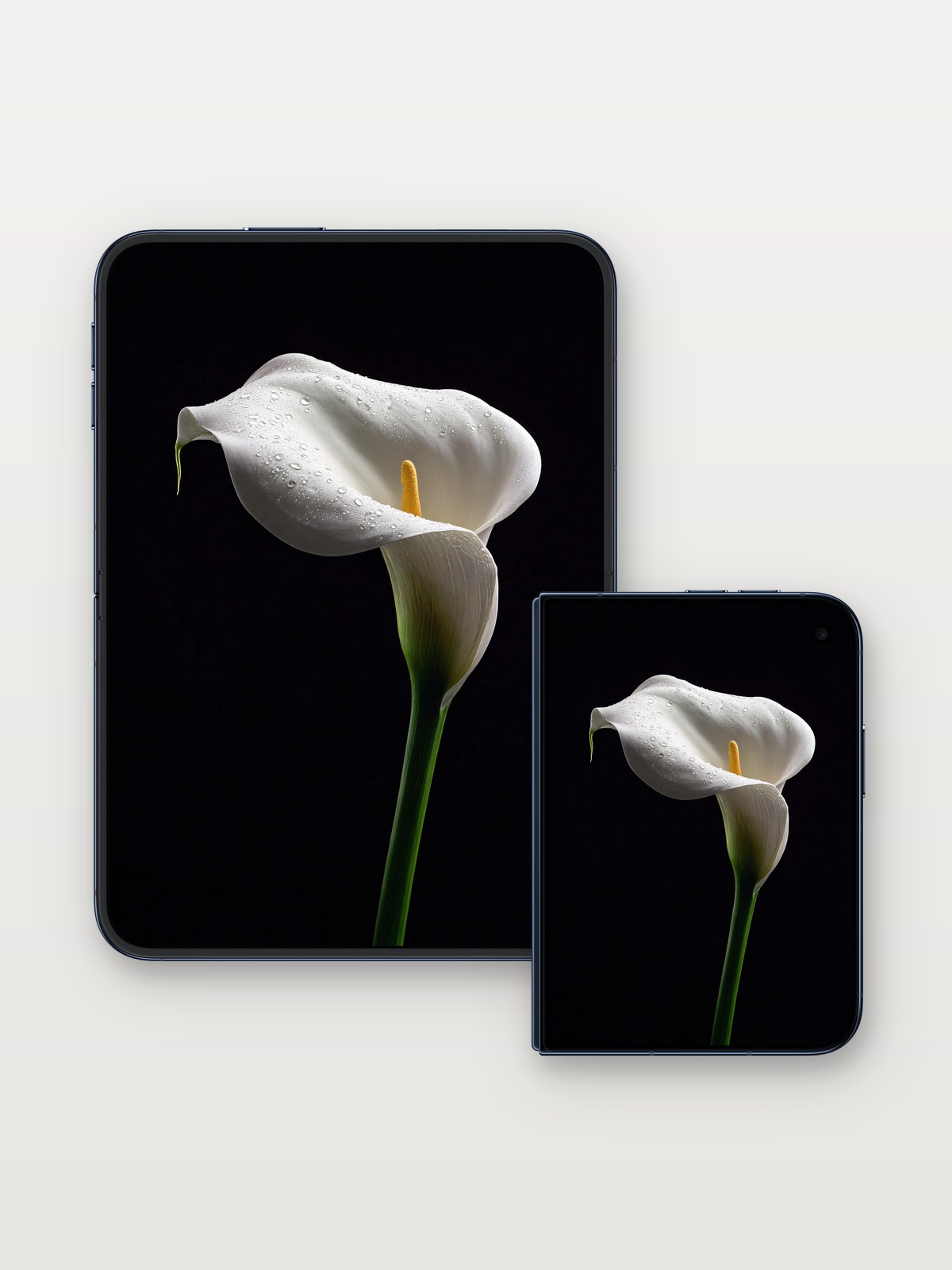 Serenity Bloom Wallpaper with Dew-Kissed Petals on iPhone Duo, open and closed