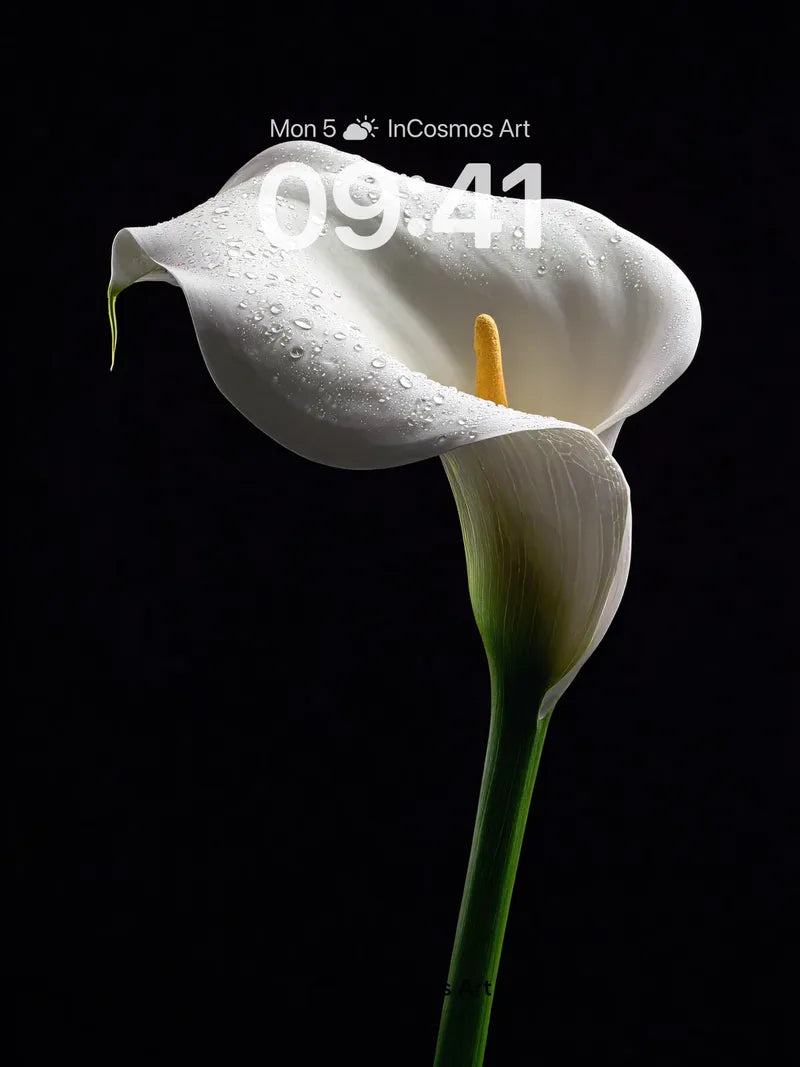 Serenity Bloom Wallpaper with Dew-Kissed Petals