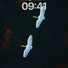 Silent Flight Wallpaper with Autumn Canopy wallpaper for iPhone, iPad & Mac