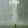 Serene Willow Mist Wallpaper with Solitary Cat wallpaper for iPhone, iPad & Mac