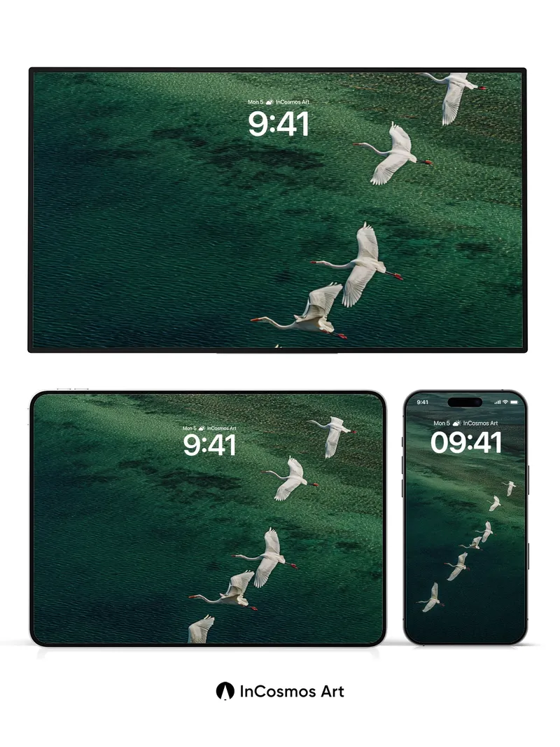 Serenity Flight Wallpaper with Aquatic Depths