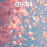 Soft Petal Drift Wallpaper in Pale Haze wallpaper for iPhone, iPad & Mac