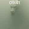 Serenity Dragon Wallpaper with Mist Veil wallpaper for iPhone, iPad & Mac