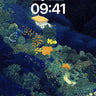 Midnight Garden Wallpaper with Hidden Path wallpaper for iPhone, iPad & Mac