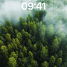 Mist-Crowned Forest Wallpaper with Whispering Canopy wallpaper for iPhone, iPad & Mac