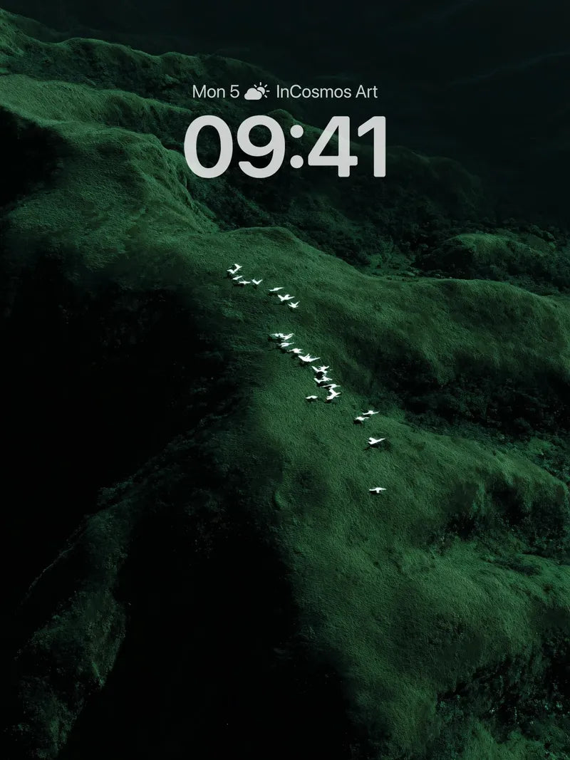 Shadowed Green Valley Wallpaper with Floating Birds