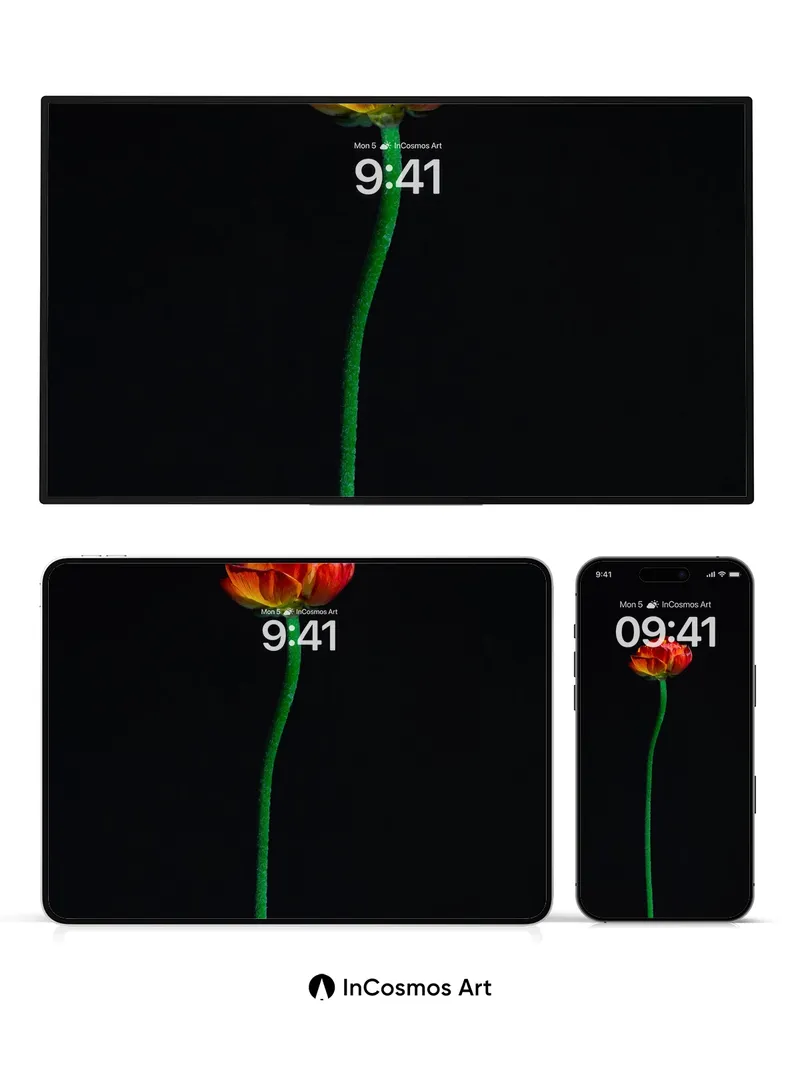 Solitary Flame Wallpaper with Midnight Stem