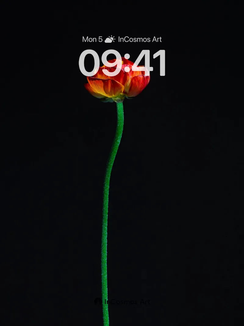 Solitary Flame Wallpaper with Midnight Stem