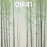 Whispering Bamboo Wallpaper with Solitary Shadow wallpaper for iPhone, iPad & Mac