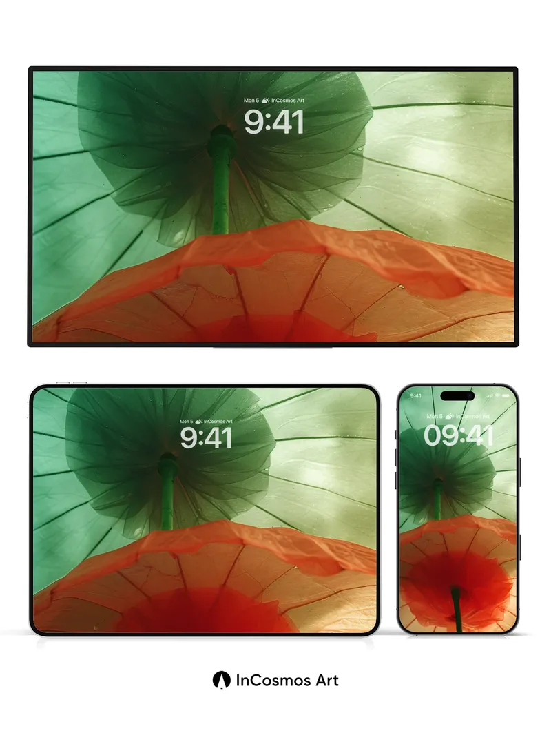 Floating Petal Wallpaper with Tissue Light
