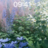 Misty Garden Fantasy Wallpaper wallpaper for iPhone, iPad & Mac