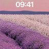 Serenity Lavender Field Wallpaper with Sunset Hues wallpaper for iPhone, iPad & Mac
