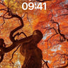 Autumn Veil Wallpaper with Twisted Canopy wallpaper for iPhone, iPad & Mac
