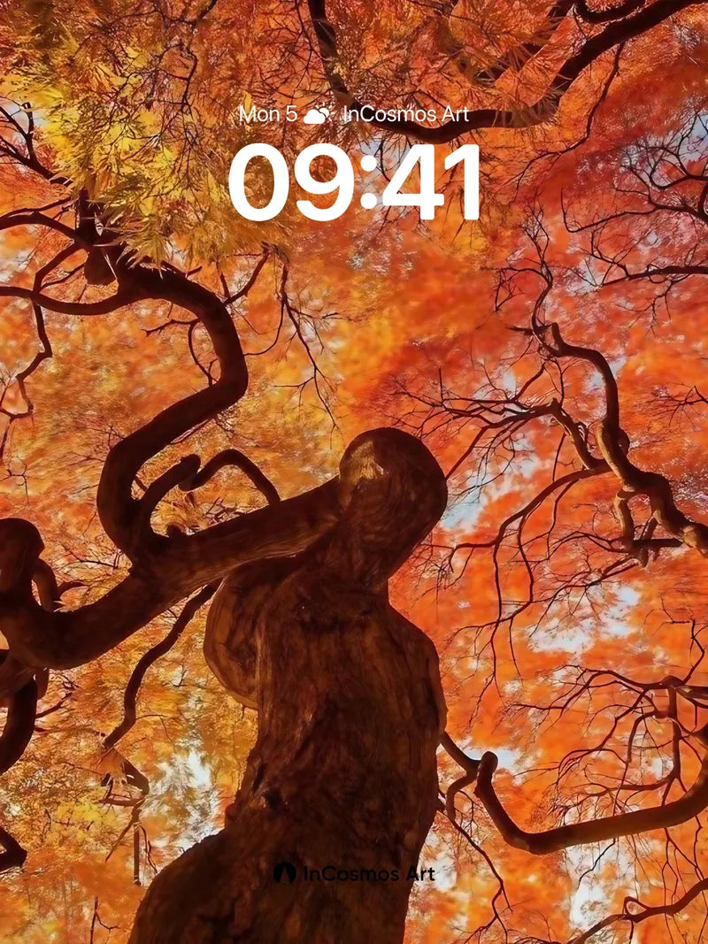 Autumn Veil Wallpaper with Twisted Canopy