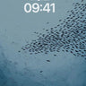 Ethereal School of Fish Ocean Background wallpaper for iPhone, iPad & Mac