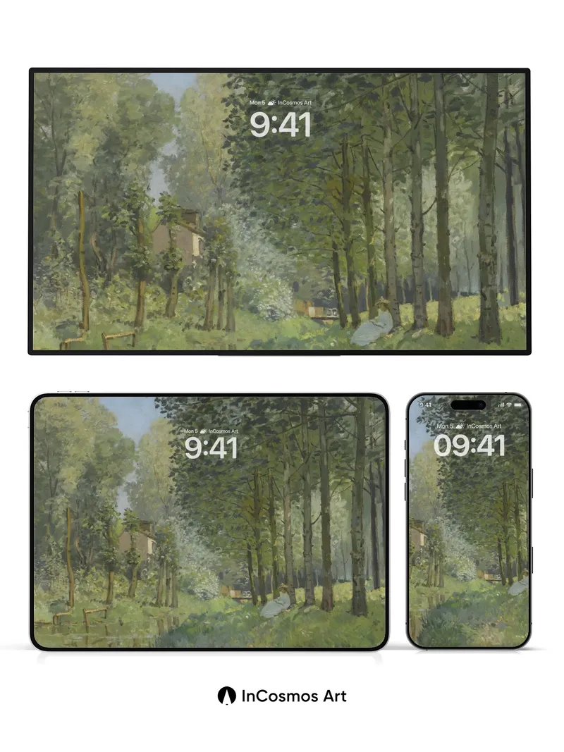 Whispering Canopy Wallpaper with Sunlit Paths