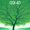 Serenity Tree Wallpaper with Whispering Canopy wallpaper for iPhone, iPad & Mac
