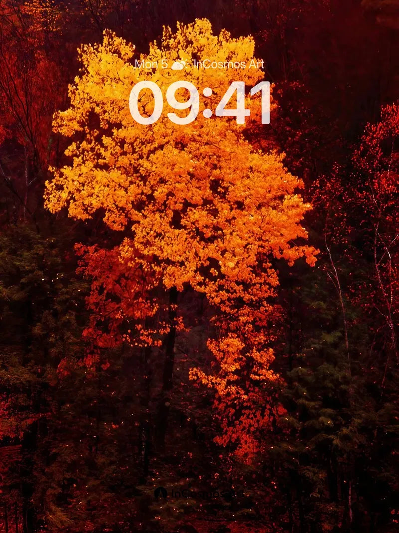 Autumn Ember Wallpaper with Fiery Canopy