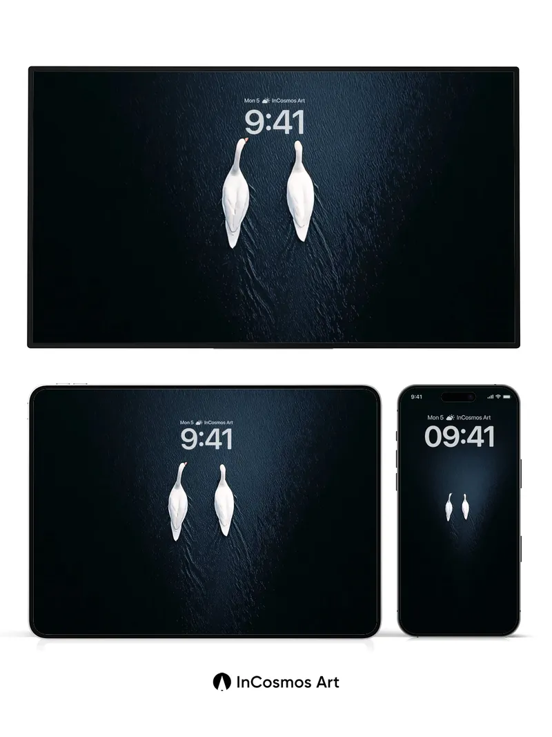 Serenity Swans Wallpaper with Midnight Water